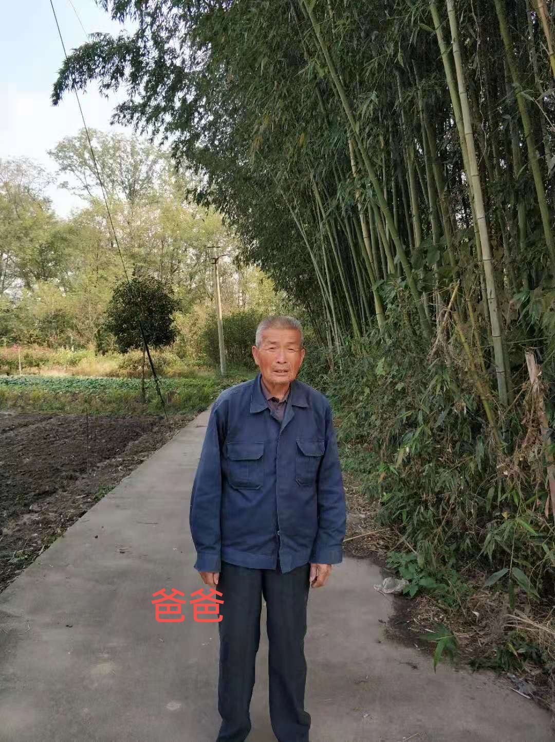 寻找1950年出生1953年送养江苏省扬州市江都区大桥镇光明村 朱朝信