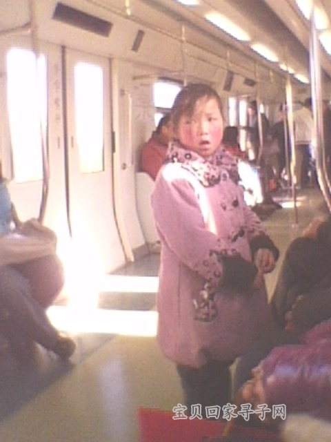 201101120850280592.jpg