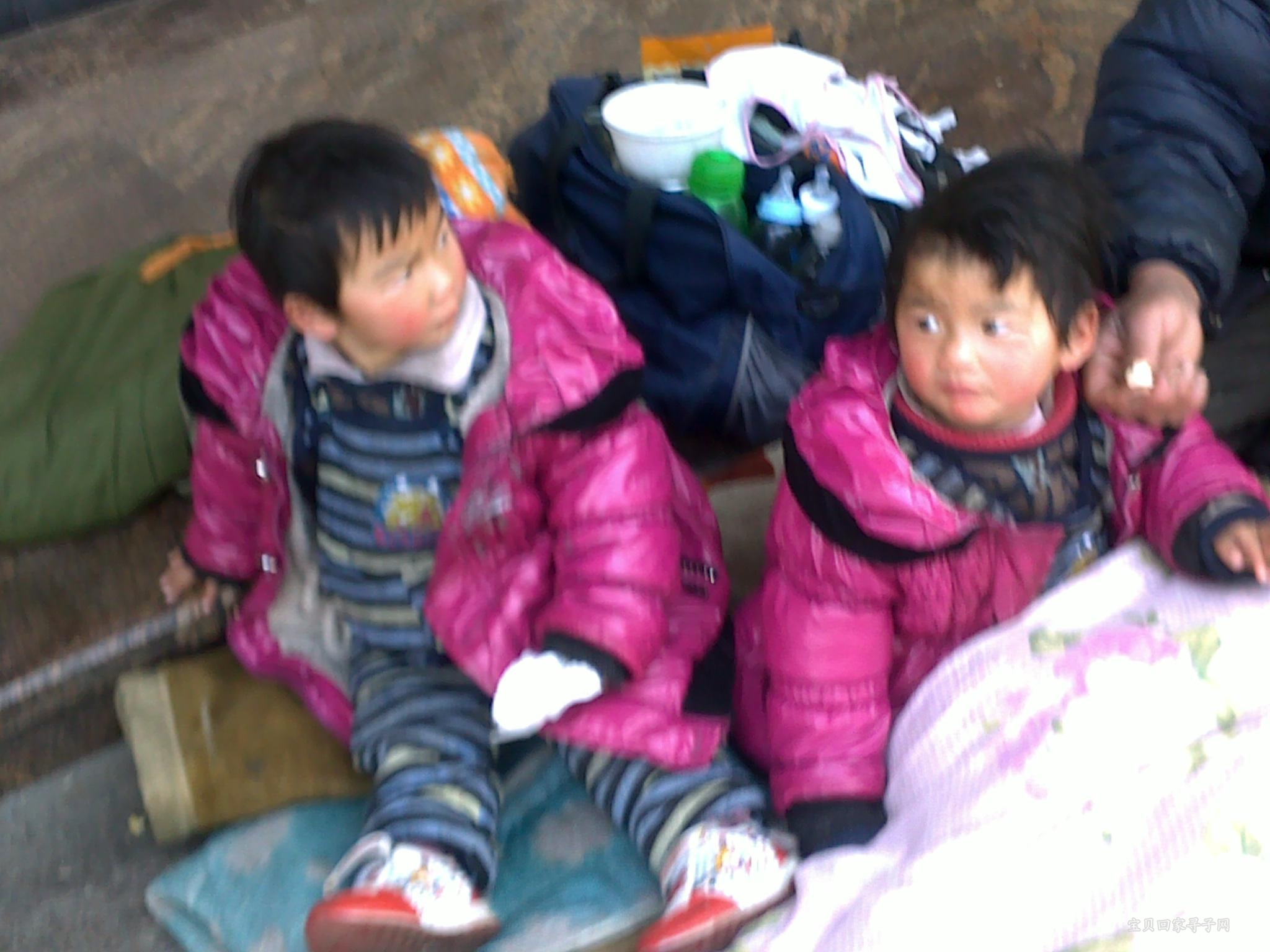 20110204024.jpg